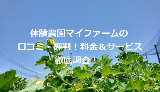 体験農園マイファームの口コミ・評判！料金＆サービス徹底調査！