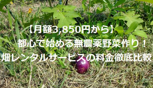 【月額3,850円から】都心で始める無農薬野菜作り！畑レンタルサービスの料金徹底比較