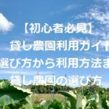 【初心者必見】「シェア畑」と「マイファーム」での貸し農園利用ガイド：選び方から利用方法まで貸し農園の選び方