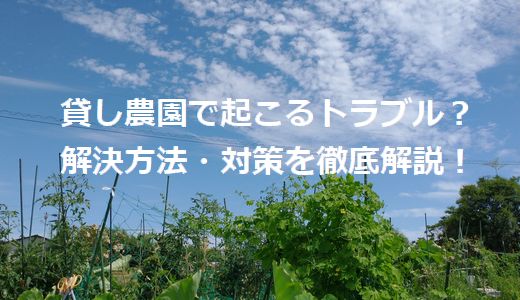 貸し農園で起こるトラブル？解決方法・対策を徹底解説！