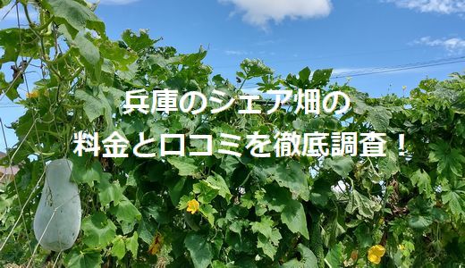 兵庫のシェア畑の料金と口コミを徹底調査！