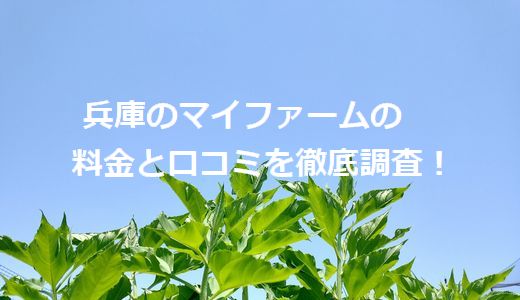 兵庫のマイファームの料金と口コミを徹底調査！