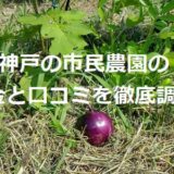 神戸の市民農園の料金と口コミを徹底調査！