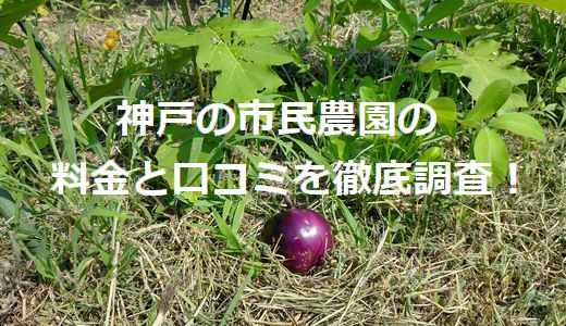 神戸の市民農園の料金と口コミを徹底調査！