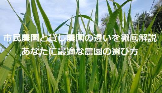 貸し農園で起こるトラブル？解決方法・対策を徹底解説！ | 畑をかりる！