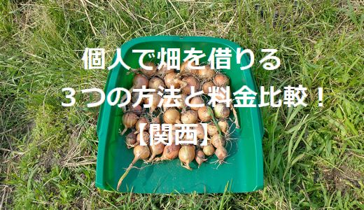 個人で畑を借りる3つの方法と料金比較！【関西】