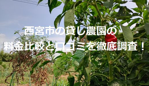 西宮市の貸し農園の料金比較と口コミを徹底調査！ | 畑をかりる！