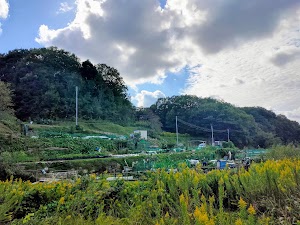 星和台農園 place picture