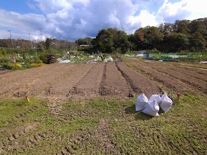 神付ふるさと村 place picture