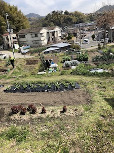 市民農園 place picture