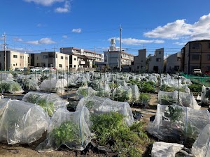 シェア畑 甲東園 place picture