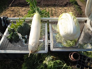 伊川谷駅南農園 place picture