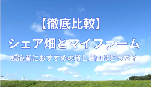 【徹底比較】シェア畑とマイファーム｜初心者におすすめの貸し農園はどっち？