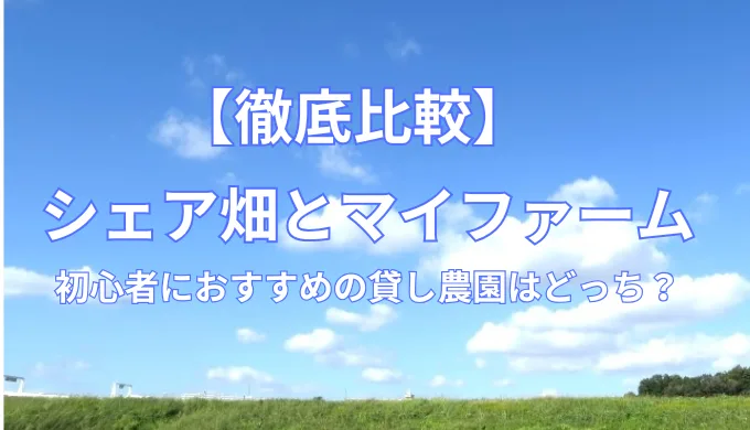 【徹底比較】シェア畑とマイファーム