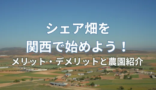 シェア畑を関西で始めよう！メリット・デメリットと農園紹介