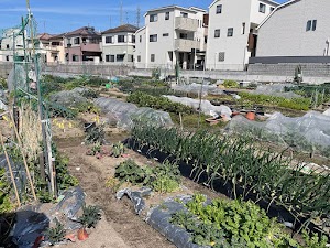 堤町市民農園 place picture