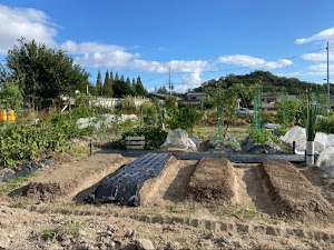 西宮2号農園 place picture