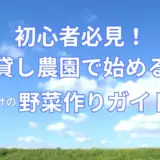 初心者必見！貸し農園で始める自分だけの野菜作りガイド