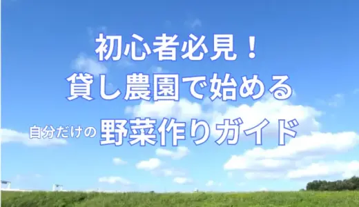 初心者必見！貸し農園で始める自分だけの野菜作りガイド