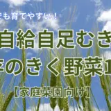 自給自足むき野菜