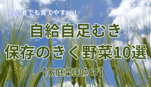 自給自足むき野菜