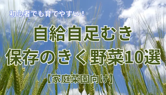 自給自足むき野菜