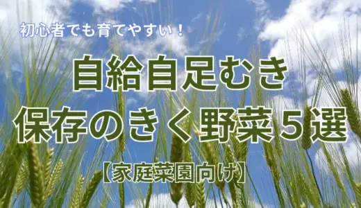 自給自足むき保存のきく野菜5選