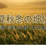 春夏秋冬の畑仕事