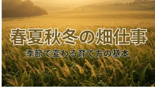 春夏秋冬の畑仕事