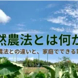自然農法とはなにか？
