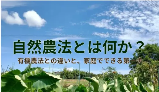 自然農法とはなにか？