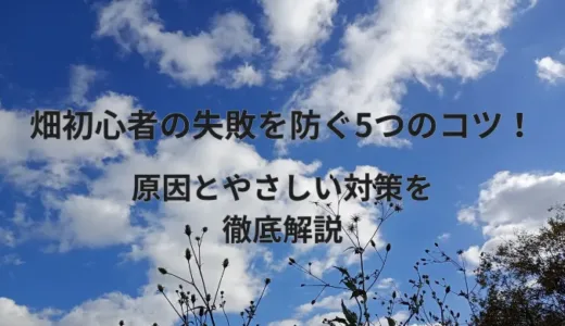 畑初心者の失敗を防ぐ5つのコツ！原因とやさしい対策を徹底解説