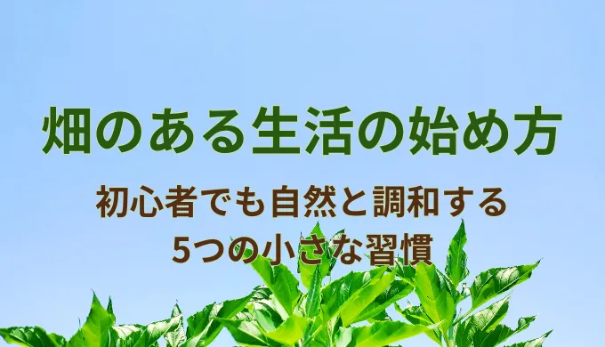畑のある生活の始め方｜初心者でも自然と調和する5つの小さな習慣