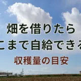 畑を借りたらどこまで自給できる?