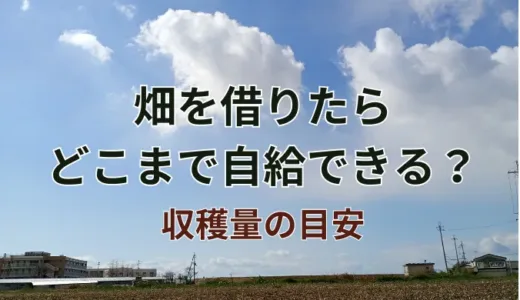 畑を借りたらどこまで自給できる？