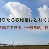畑の収穫量はどれくらい？1区画でできる「一部自給」目安