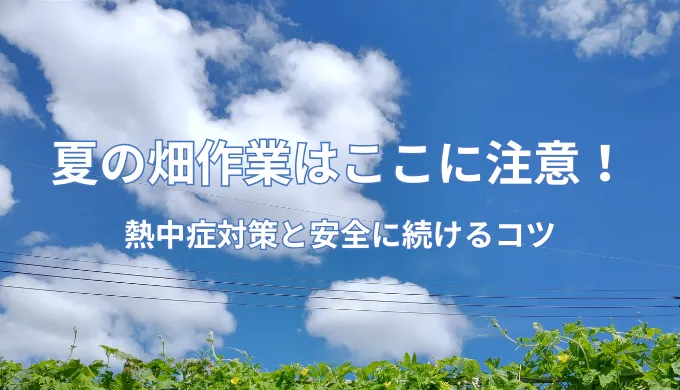 夏の畑作業はここに注意！熱中症対策と安全に続けるコツ