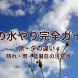 畑の水やり完全ガイド