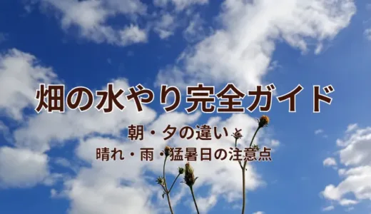 畑の水やり完全ガイド