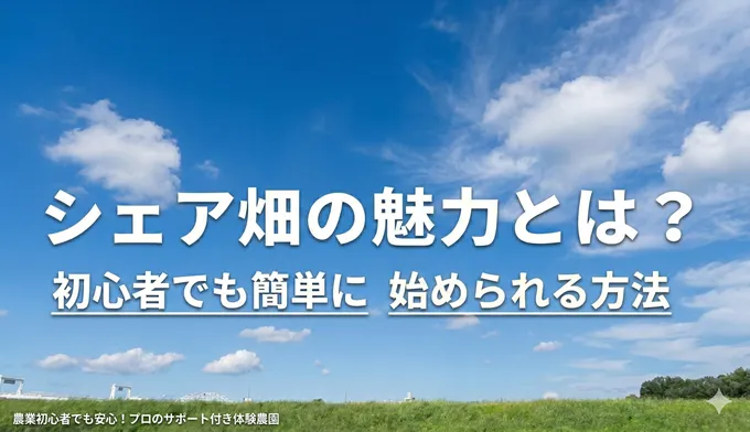シェア畑の魅力とは？初心者でも簡単に始められる方法